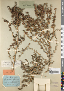 LE 01227103