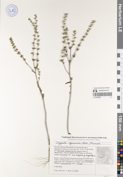 LE 01083624