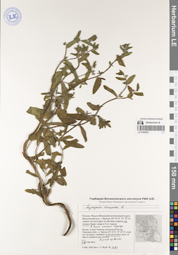 LE 01083625