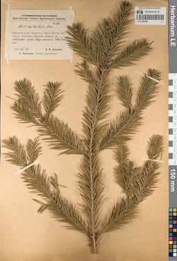 LE 01062356
