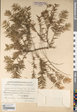 LE 01062366