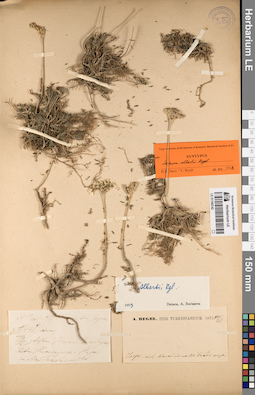 LE 01195742