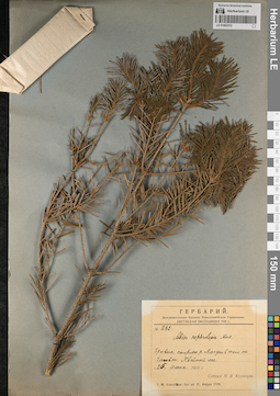 LE 01062372