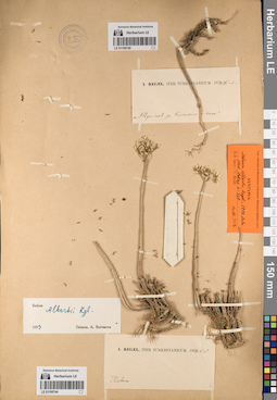 LE 01195745