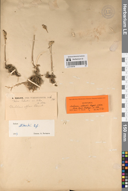 LE 01195750