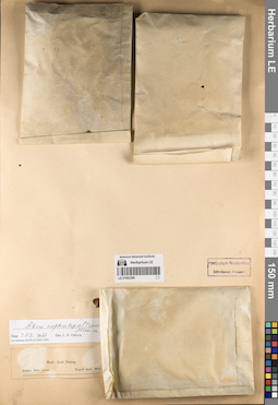 LE 01062388