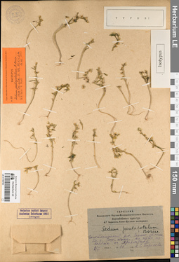 LE 01195762