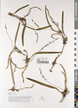 LE 01170027