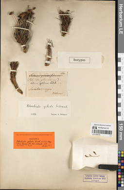 LE 01195770