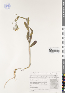 LE 01083667