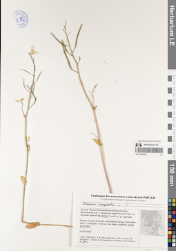 LE 01083670