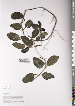 LE 01170042