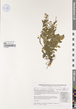 LE 01083678