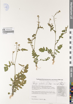 LE 01083680
