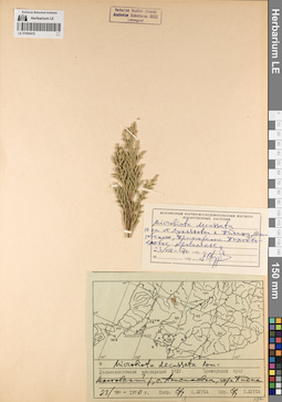 LE 01062419