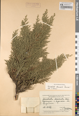 LE 01062421