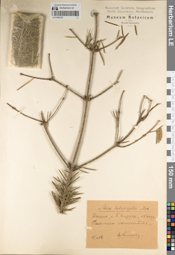 LE 01062122