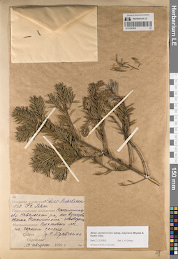 LE 01062454