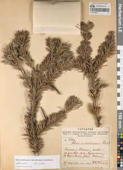 LE 01062470