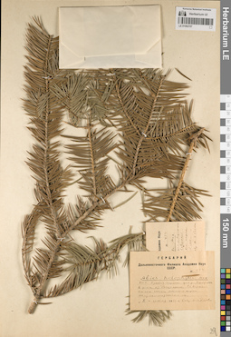 LE 01062157