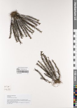 LE 01170119