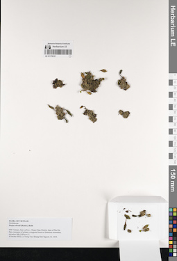LE 01170121