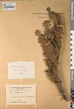LE 01062172