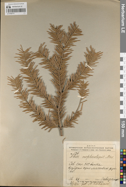 LE 01062173