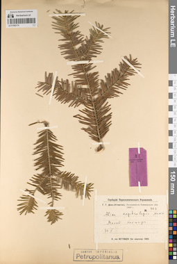 LE 01062174