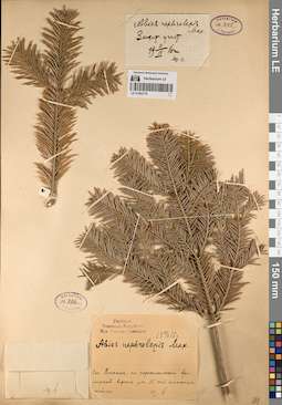LE 01062176