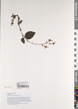 LE 01170141
