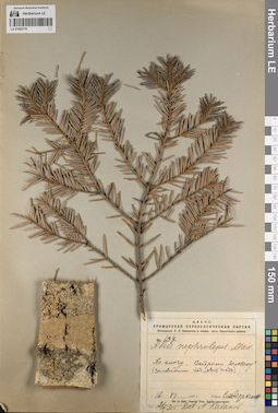 LE 01062179