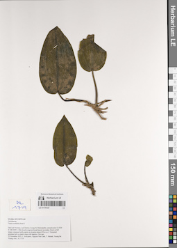 LE 01170147