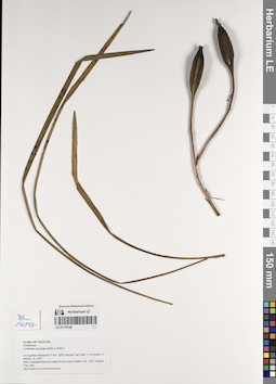 LE 01170149