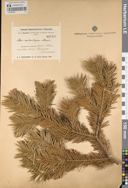 LE 01062189