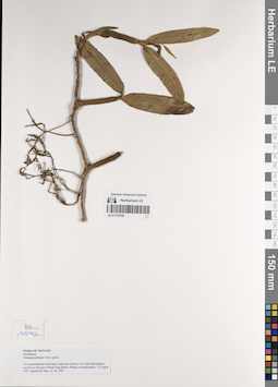 LE 01170155