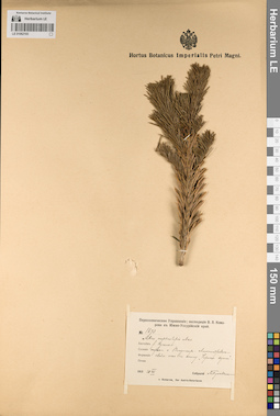 LE 01062193