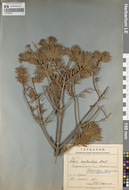 LE 01062195
