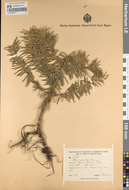 LE 01062197