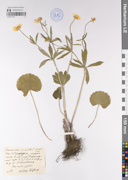 LE 01171712