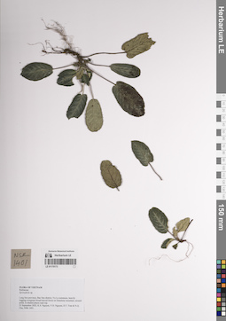 LE 01170173