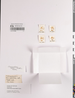 LE 01170188