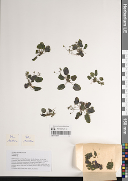 LE 01170191