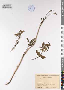 LE 01199343