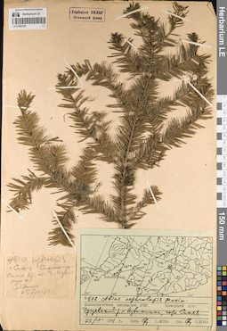 LE 01062238