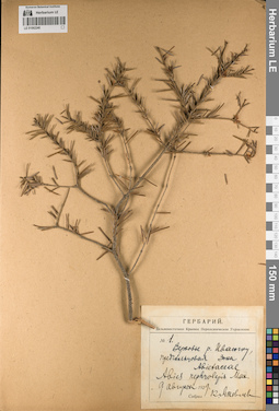 LE 01062240
