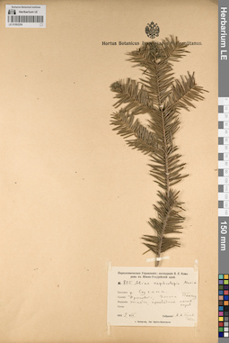 LE 01062254