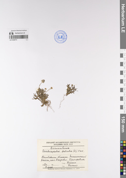 LE 01200773