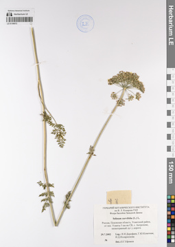 LE 01199572