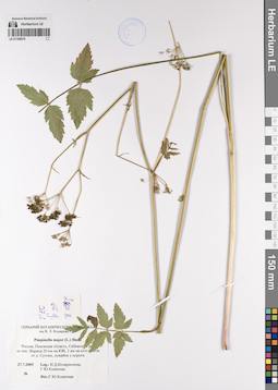 LE 01199575